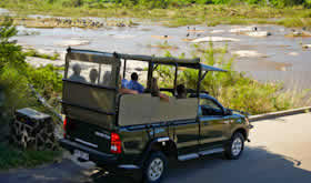 African safari Adventures,  Tours to Kruger Park, Mpumalanga Tours