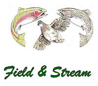 Field and Stream Accommodation in Dullstroom