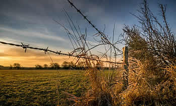 Livestock Fencing ... Wildlife Fencing ...Electrical Fencing ... Security Fencing