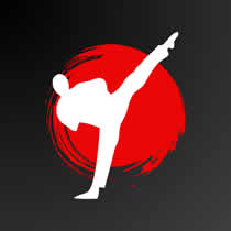 karate classes Ermelo