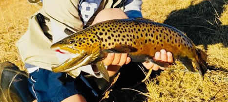 Trout and fly fishing Mpumalanga