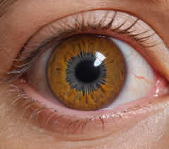 Grant Freeman Optometrist in Nelspruit