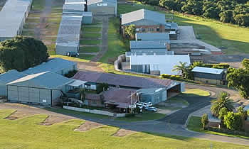 Commercial Pilot License 