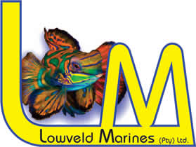 Fish tanks Mpumalanga