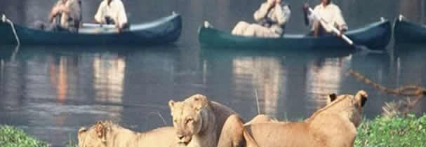 Lower Sabie Canoeing Safari 