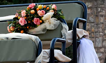 Lydenburg Florist weddings